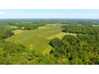 Property photo 28 - LAND AUCTION - 1,193+/- ACRES IN 14 TRACTS IN PIKE & GIBSON COUNTY, INDIANA